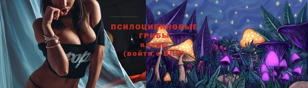 эйфоретик Алексеевка