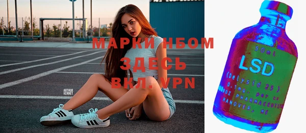 хмурый Алзамай