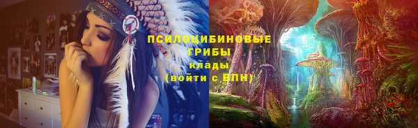 хмурый Алзамай
